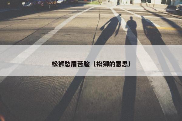 松狮愁眉苦脸（松狮的意思）