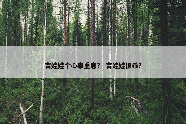 吉娃娃个心事重崽？ 吉娃娃很乖？
