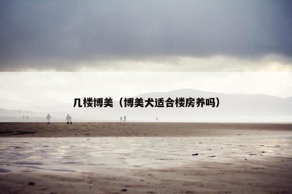 几楼博美（博美犬适合楼房养吗）