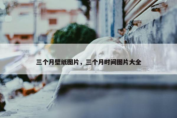 三个月壁纸图片，三个月时间图片大全