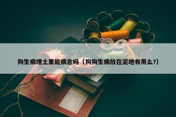 狗生病埋土里能病愈吗（狗狗生病放在泥地有用么?）