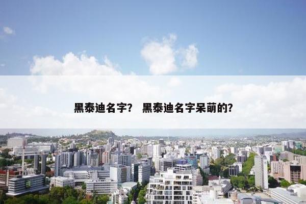 黑泰迪名字？ 黑泰迪名字呆萌的？