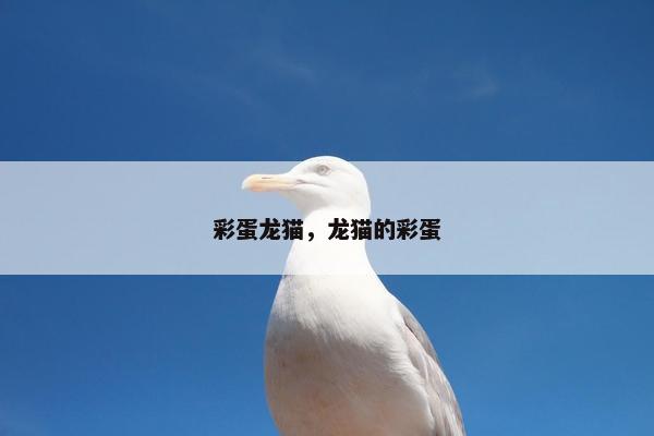 彩蛋龙猫，龙猫的彩蛋