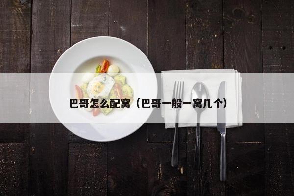 巴哥怎么配窝（巴哥一般一窝几个）