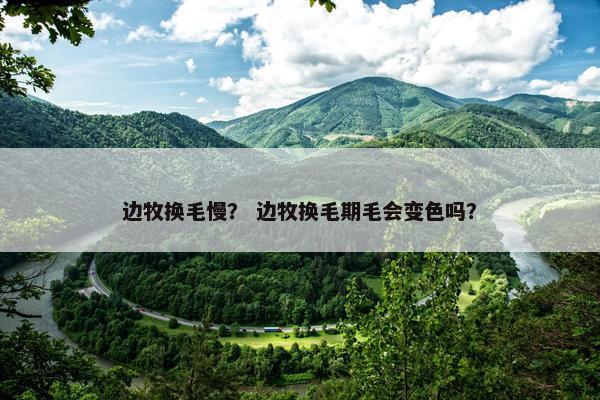 边牧换毛慢？ 边牧换毛期毛会变色吗？