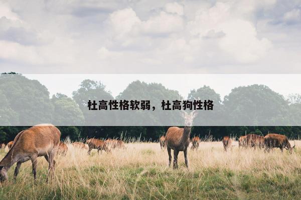 杜高性格软弱，杜高狗性格