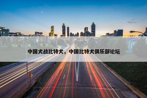 中国犬战比特犬，中国比特犬俱乐部论坛