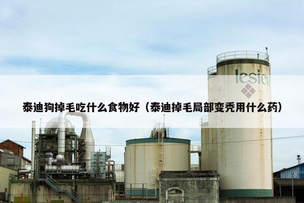 泰迪狗掉毛吃什么食物好（泰迪掉毛局部变秃用什么药）