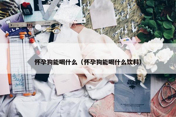 怀孕狗能喝什么（怀孕狗能喝什么饮料）