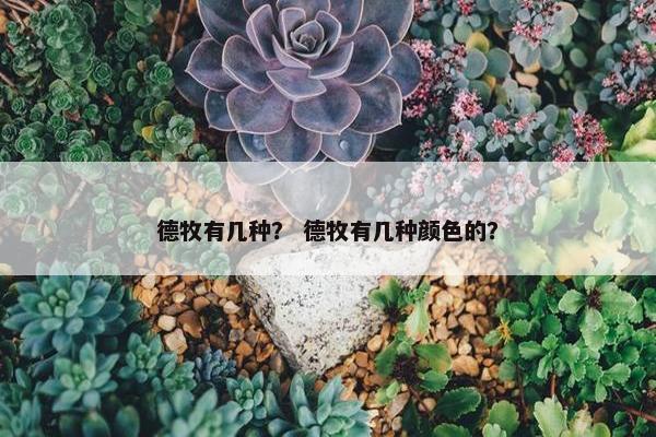 德牧有几种？ 德牧有几种颜色的？
