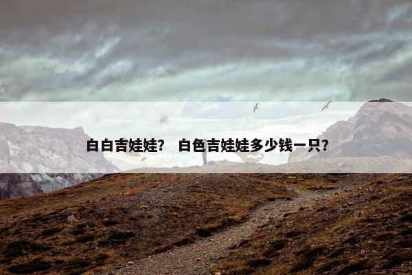 白白吉娃娃？ 白色吉娃娃多少钱一只？