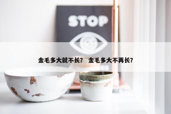 金毛多大就不长？ 金毛多大不再长？
