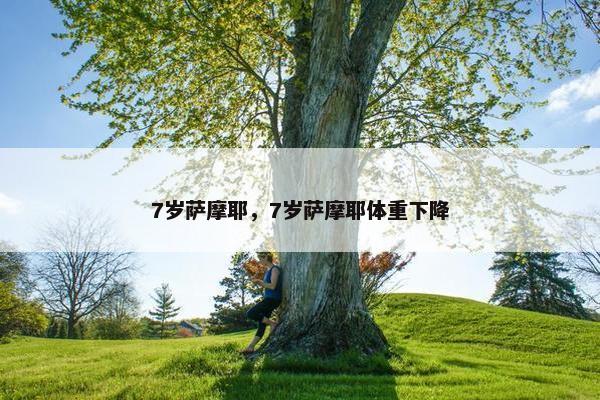 7岁萨摩耶，7岁萨摩耶体重下降