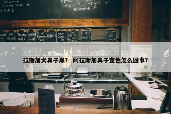 拉斯加犬鼻子黑？ 阿拉斯加鼻子变色怎么回事？