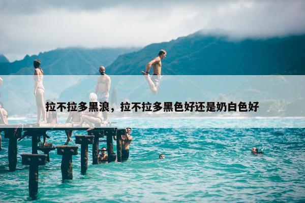 拉不拉多黑浪，拉不拉多黑色好还是奶白色好