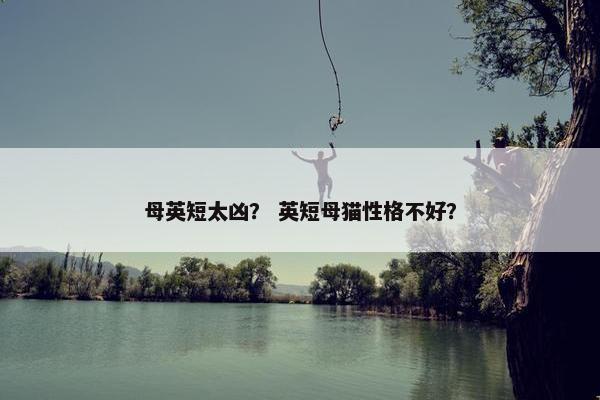 母英短太凶？ 英短母猫性格不好？