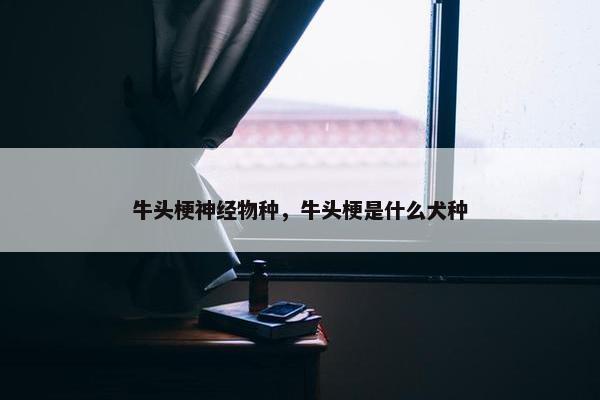 牛头梗神经物种，牛头梗是什么犬种