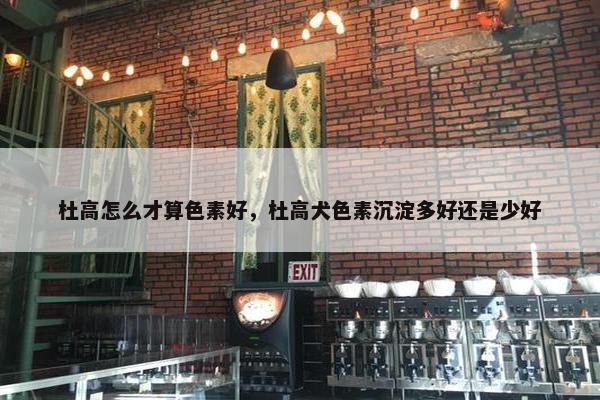 杜高怎么才算色素好，杜高犬色素沉淀多好还是少好