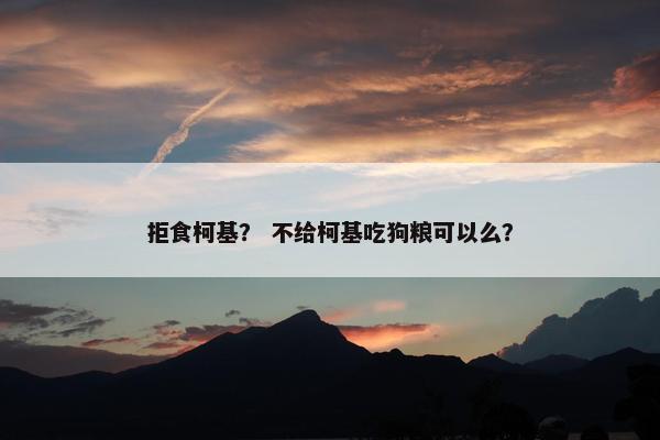 拒食柯基？ 不给柯基吃狗粮可以么？