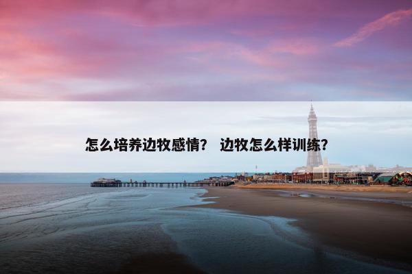怎么培养边牧感情？ 边牧怎么样训练？