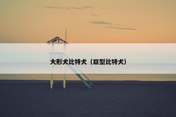 大形犬比特犬（巨型比特犬）