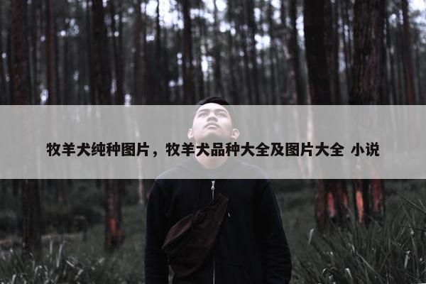 牧羊犬纯种图片，牧羊犬品种大全及图片大全 小说