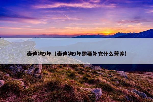 泰迪狗9年（泰迪狗9年需要补充什么营养）