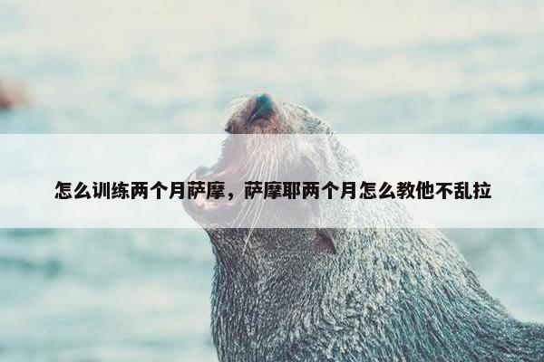 怎么训练两个月萨摩，萨摩耶两个月怎么教他不乱拉