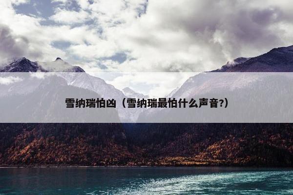雪纳瑞怕凶（雪纳瑞最怕什么声音?）