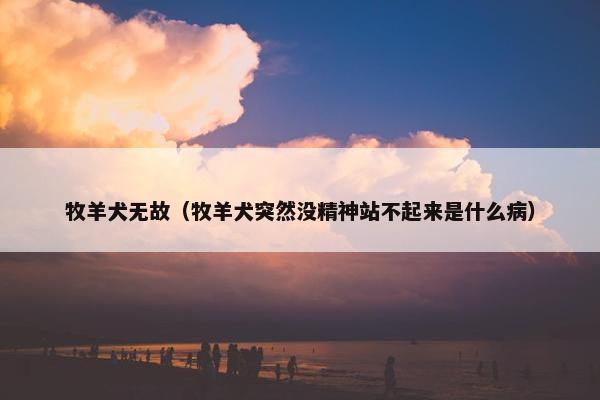 牧羊犬无故（牧羊犬突然没精神站不起来是什么病）