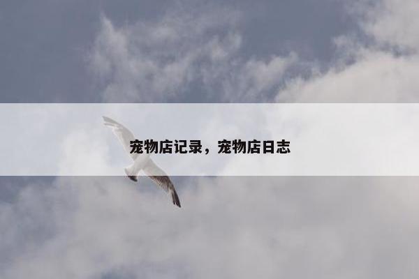 宠物店记录，宠物店日志