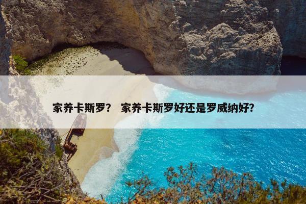 家养卡斯罗？ 家养卡斯罗好还是罗威纳好？