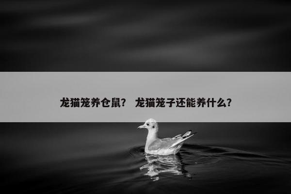 龙猫笼养仓鼠？ 龙猫笼子还能养什么？
