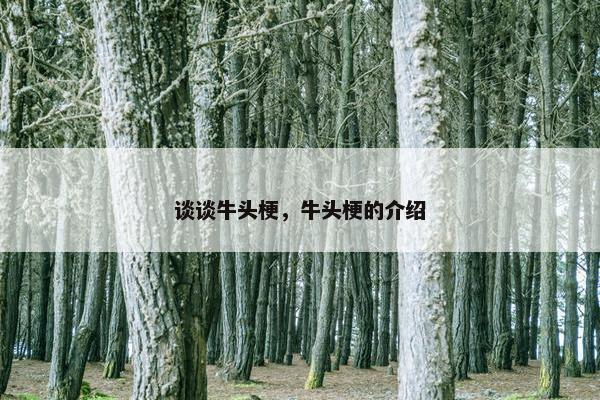 谈谈牛头梗，牛头梗的介绍