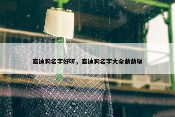 泰迪狗名字好听，泰迪狗名字大全萌萌哒