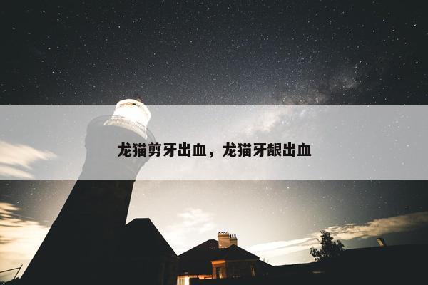 龙猫剪牙出血，龙猫牙龈出血