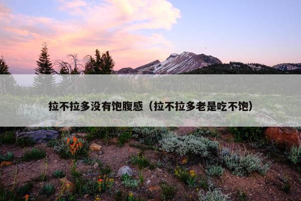拉不拉多没有饱腹感（拉不拉多老是吃不饱）