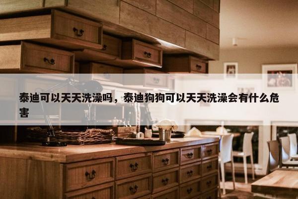 泰迪可以天天洗澡吗，泰迪狗狗可以天天洗澡会有什么危害