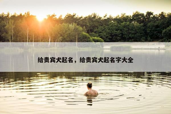 给贵宾犬起名，给贵宾犬起名字大全