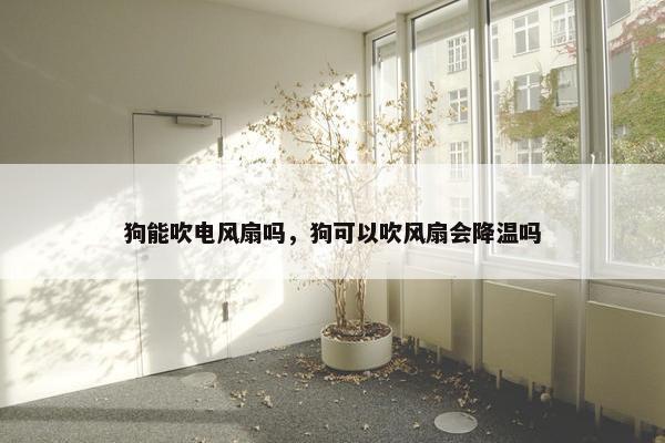 狗能吹电风扇吗，狗可以吹风扇会降温吗