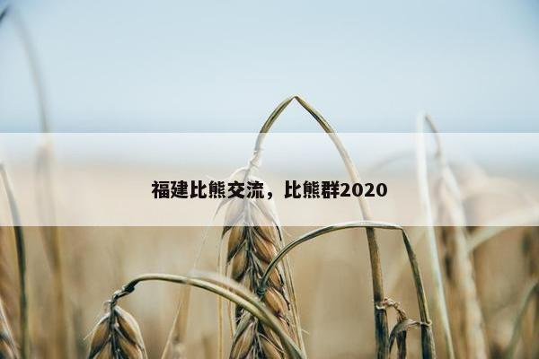 福建比熊交流，比熊群2020