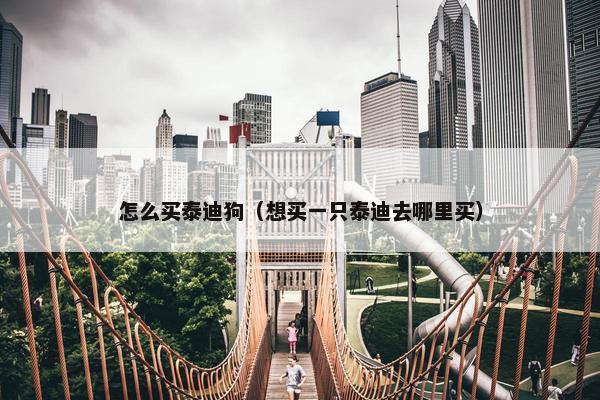 怎么买泰迪狗（想买一只泰迪去哪里买）