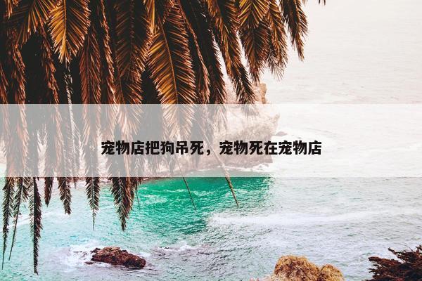 宠物店把狗吊死，宠物死在宠物店