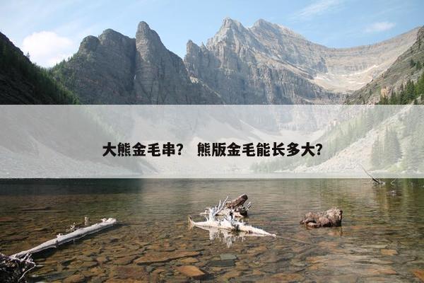 大熊金毛串？ 熊版金毛能长多大？