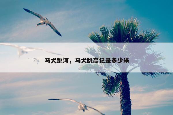 马犬跳河，马犬跳高记录多少米