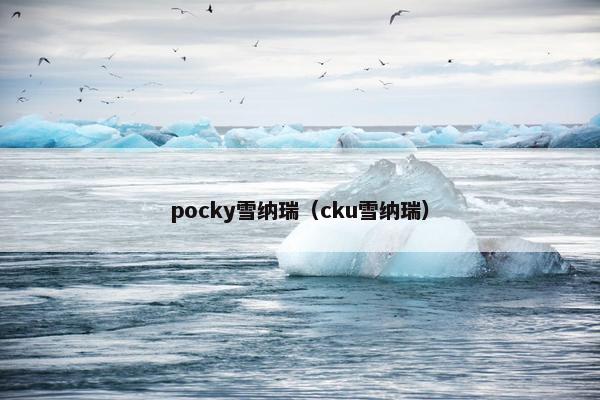 pocky雪纳瑞（cku雪纳瑞）