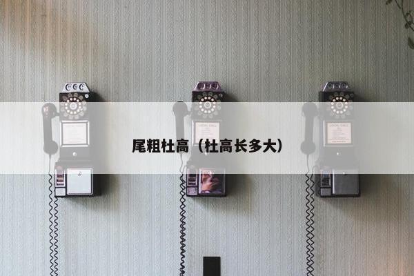 尾粗杜高（杜高长多大）