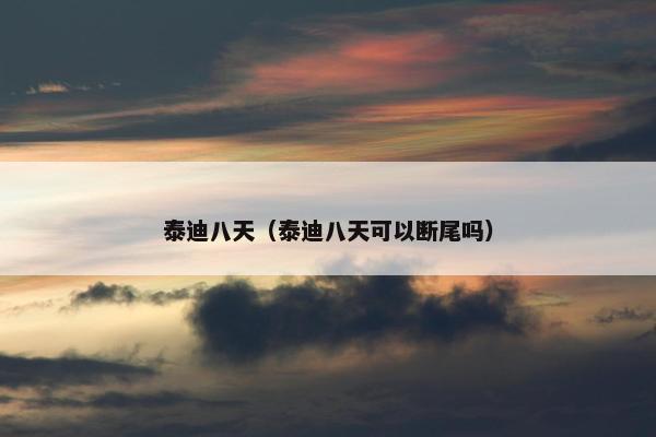 泰迪八天（泰迪八天可以断尾吗）