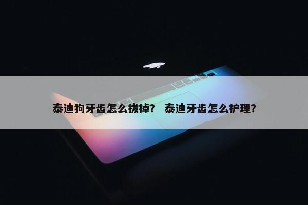 泰迪狗牙齿怎么拔掉？ 泰迪牙齿怎么护理？