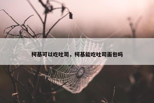 柯基可以吃吐司，柯基能吃吐司面包吗